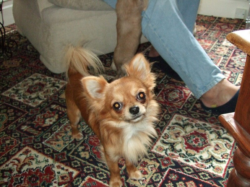 Alfie